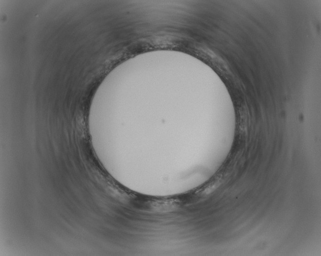 X0000078270465200612011724