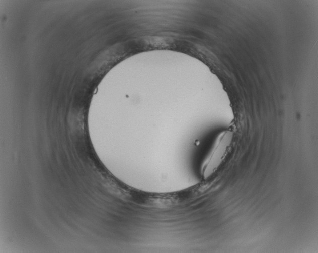 X0000078270466200612011724