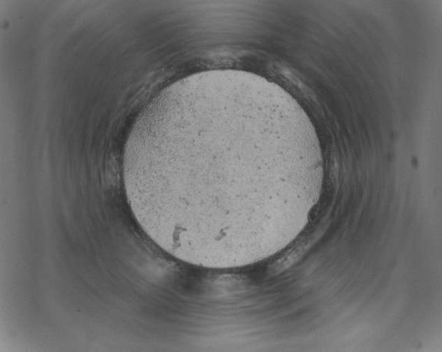 X0000078270467200612011724