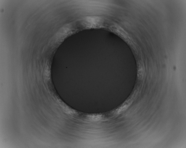 X0000078270469200612011724