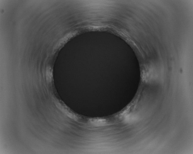 X0000078270476200612011724