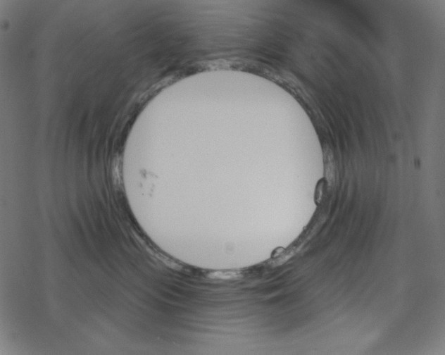 X0000078270477200612011724