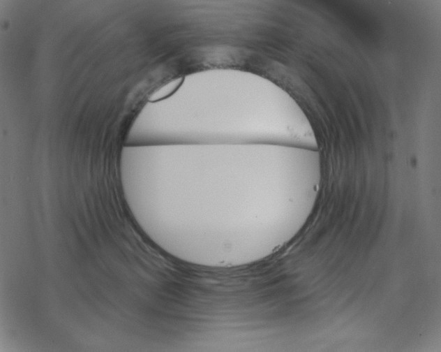 X0000078270478200612011724