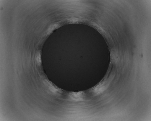 X0000078270479200612011724