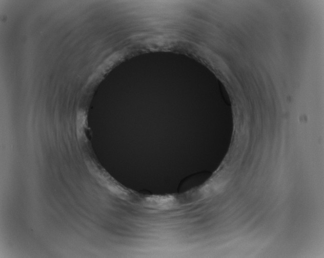 X0000078270480200612011724