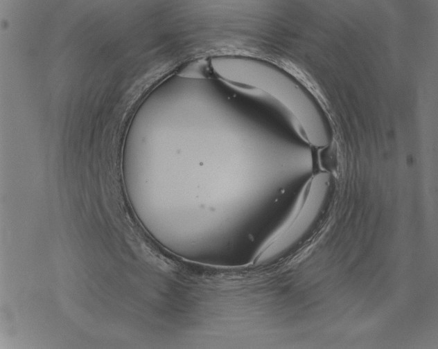 X0000078270481200612011723