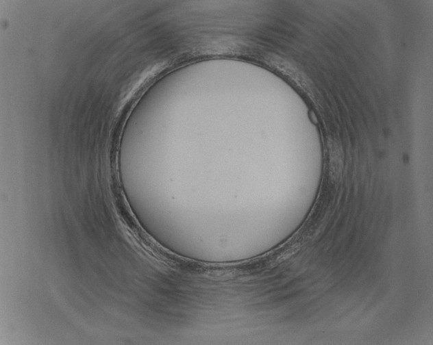 X0000078270482200612011723