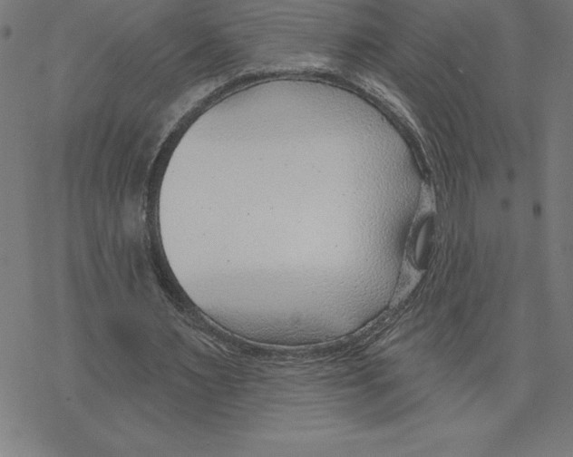 X0000078270483200612011723