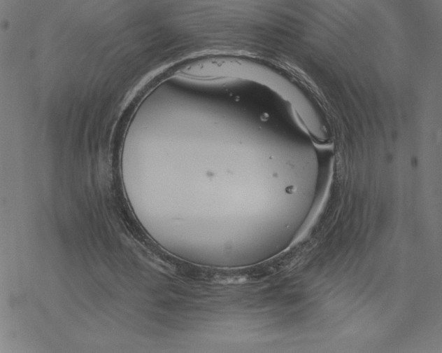 X0000078270484200612011723