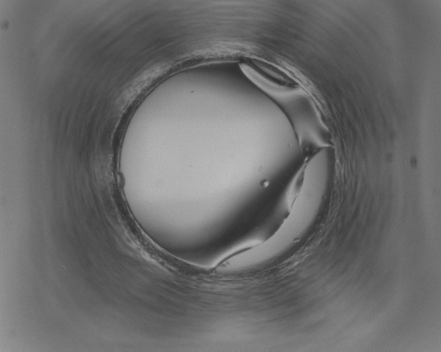 X0000078270485200612011723