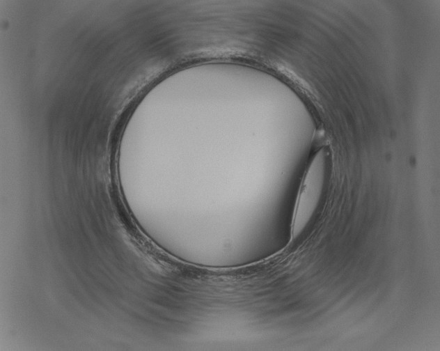 X0000078270486200612011723