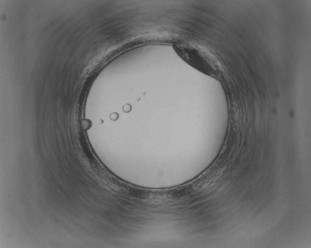 X0000078270487200612011723