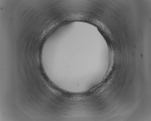 X0000078270489200612011723