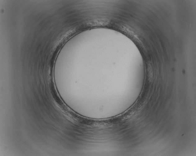 X0000078270490200612011723