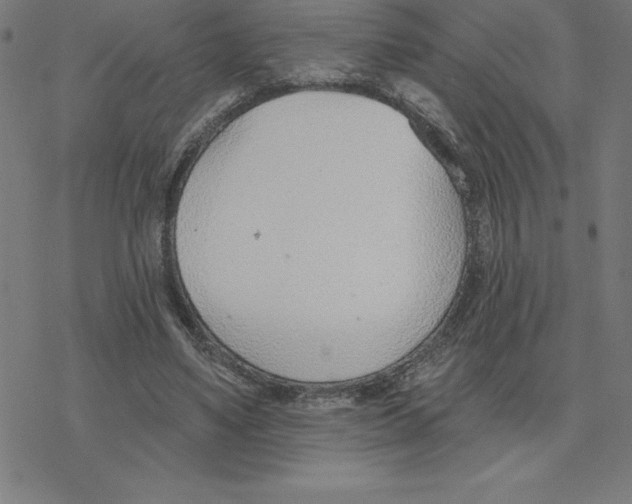 X0000078270491200612011723