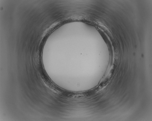 X0000078270492200612011723