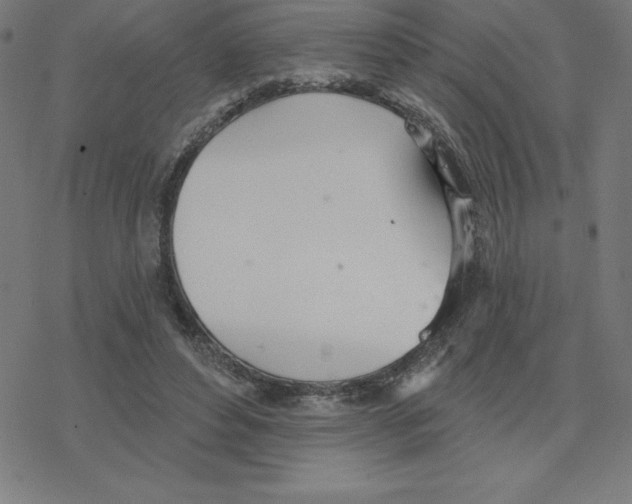 X0000078270496200612011723