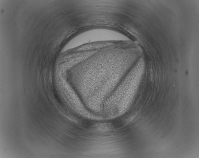 X0000078270499200612011723