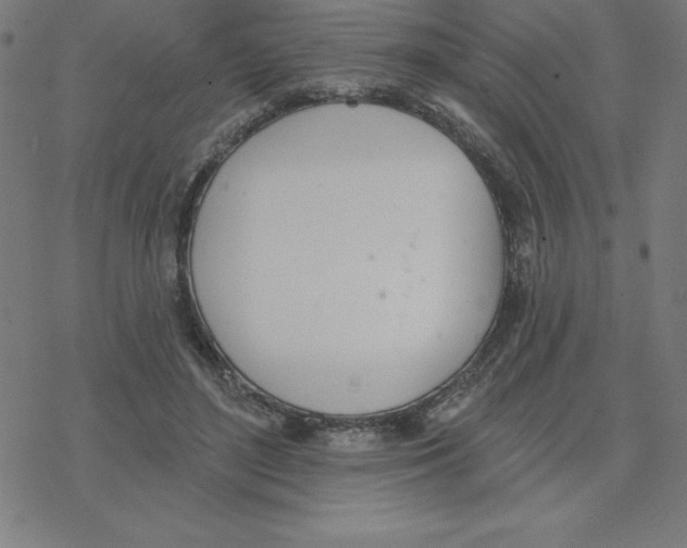 X0000078270500200612011723