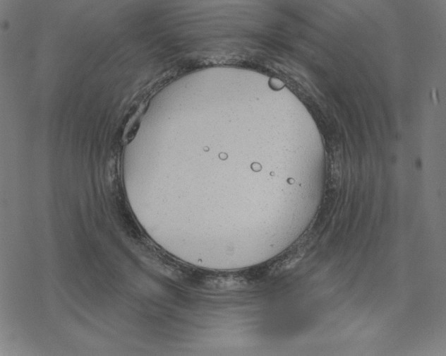 X0000078270503200612011723