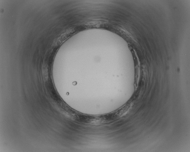 X0000078270504200612011723