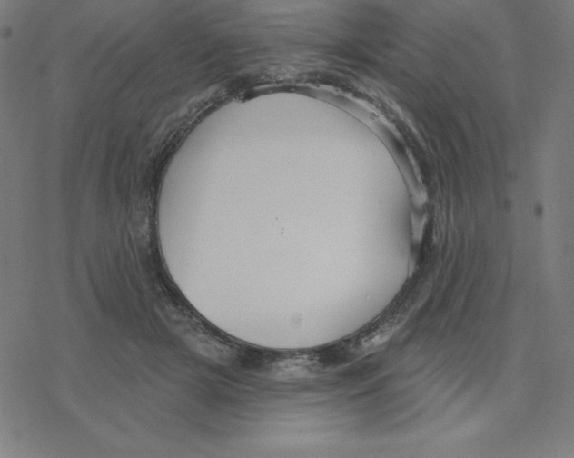 X0000078270505200612011723