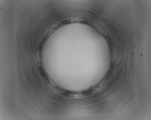 X0000078270506200612011723