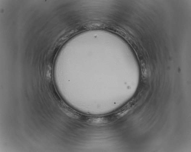 X0000078270507200612011723