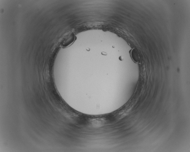 X0000078270508200612011723