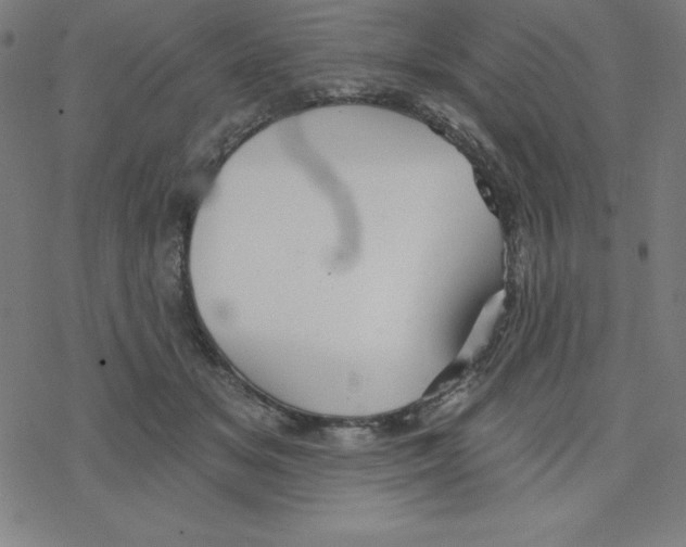 X0000078270509200612011723