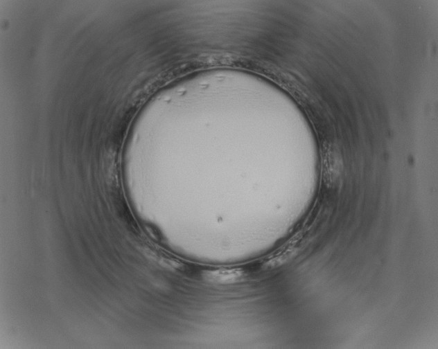 X0000078270511200612011723