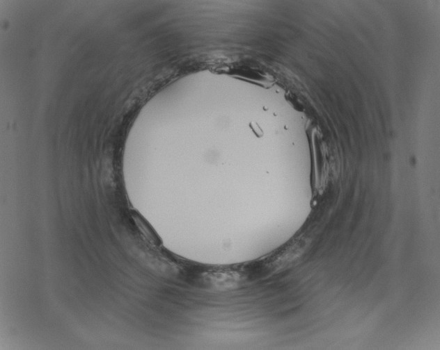 X0000078270512200612011723