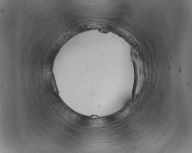 X0000078270513200612011722