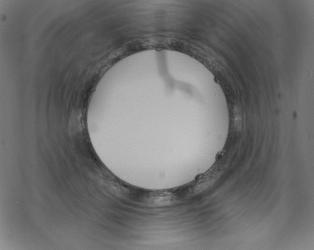 X0000078270514200612011722