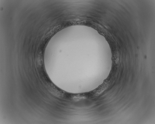 X0000078270515200612011722