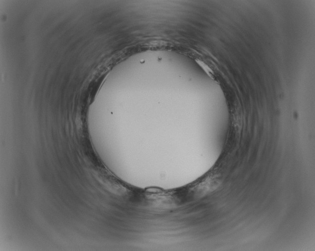 X0000078270516200612011722