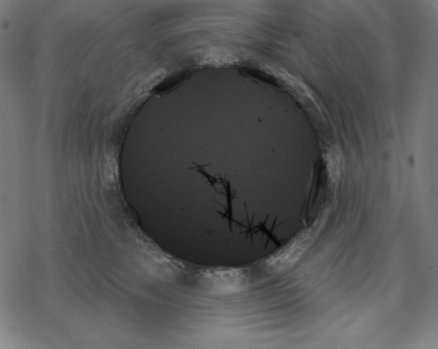 X0000078270517200612011722