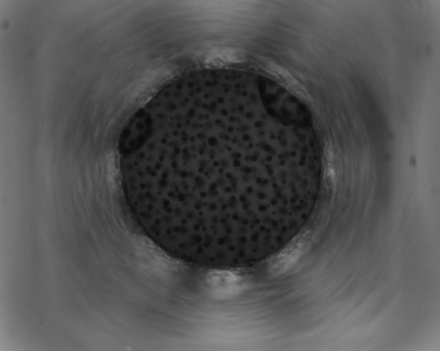 X0000078270519200612011722