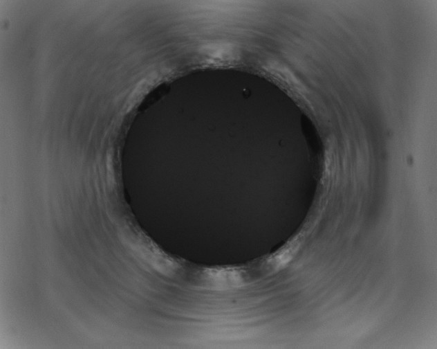 X0000078270520200612011722