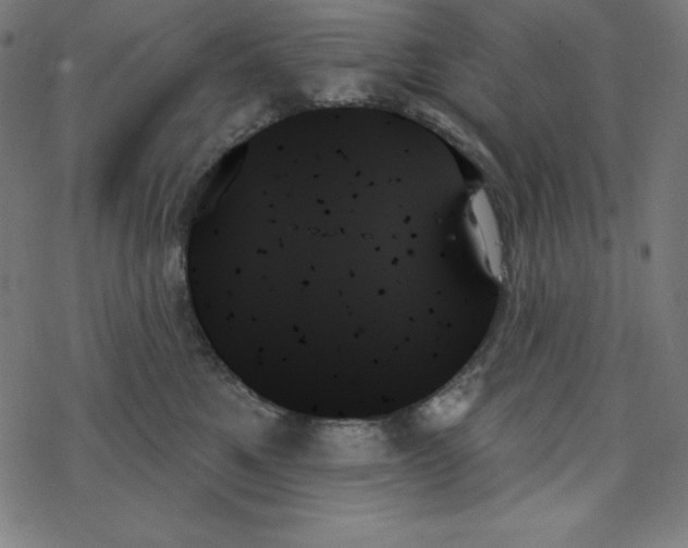 X0000078270521200612011722