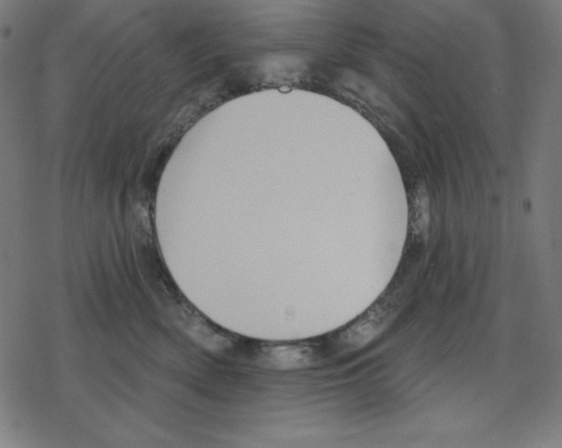 X0000078270522200612011722