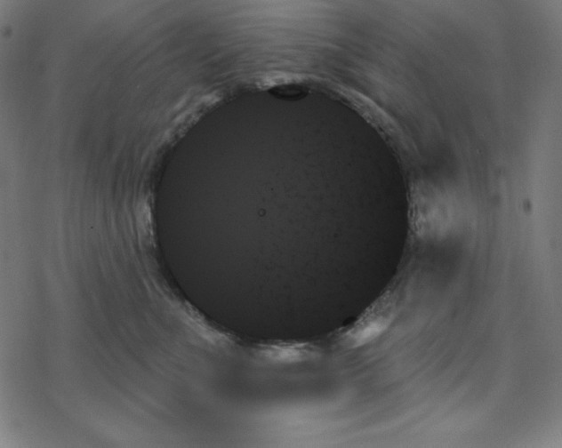 X0000078270523200612011722