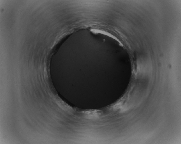 X0000078270524200612011722