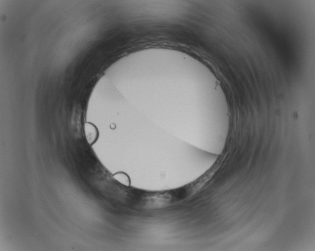 X0000078270525200612011722