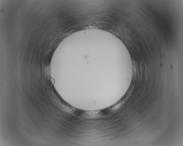 X0000078270526200612011722