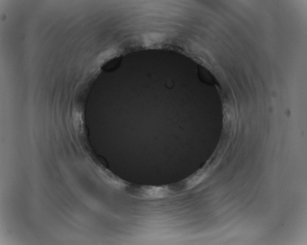 X0000078270527200612011722