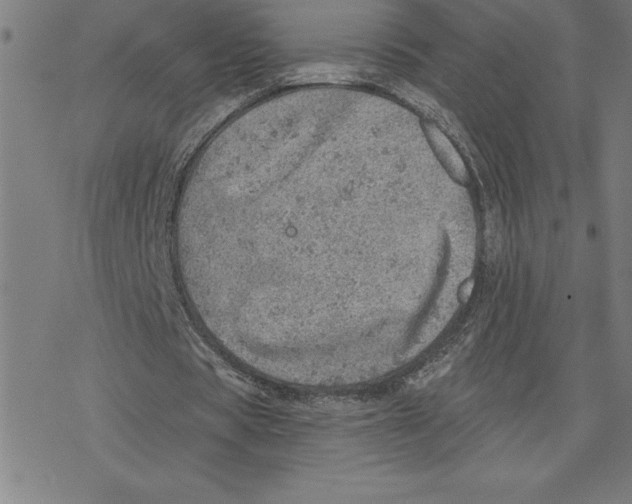 X0000078270529200612011721