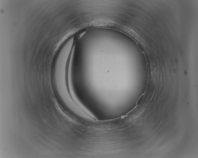 X0000078270530200612011721