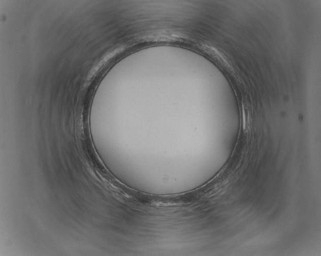 X0000078270531200612011722