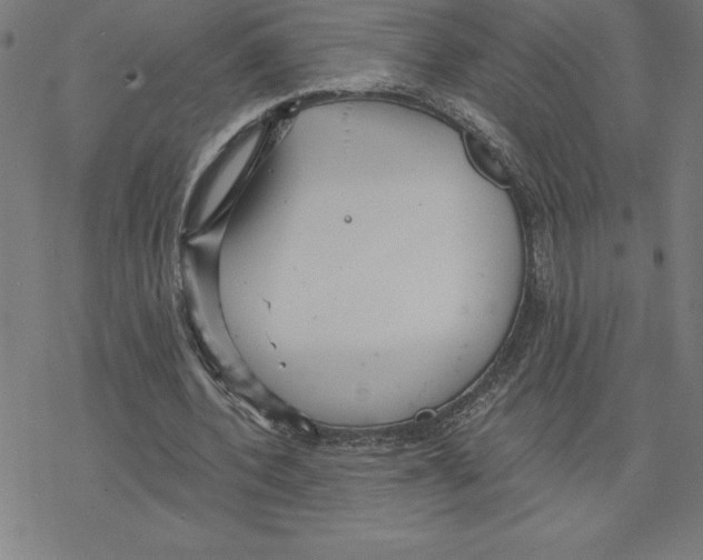 X0000078270532200612011722